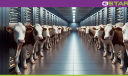 Featured image of post Herding Cattle in your Data Center?